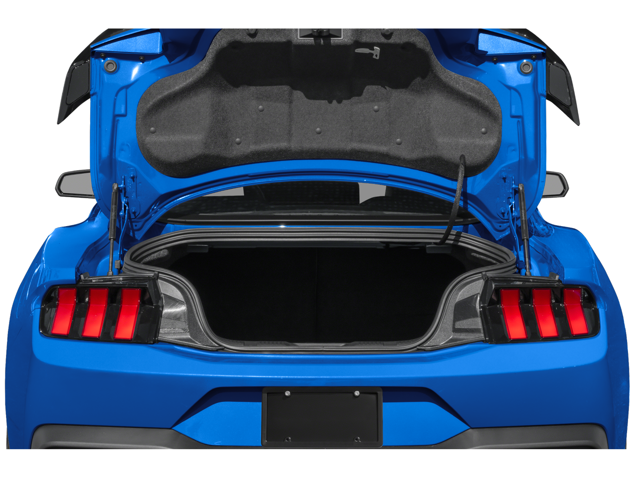2025 Ford Mustang Dark Horse - Photo 10